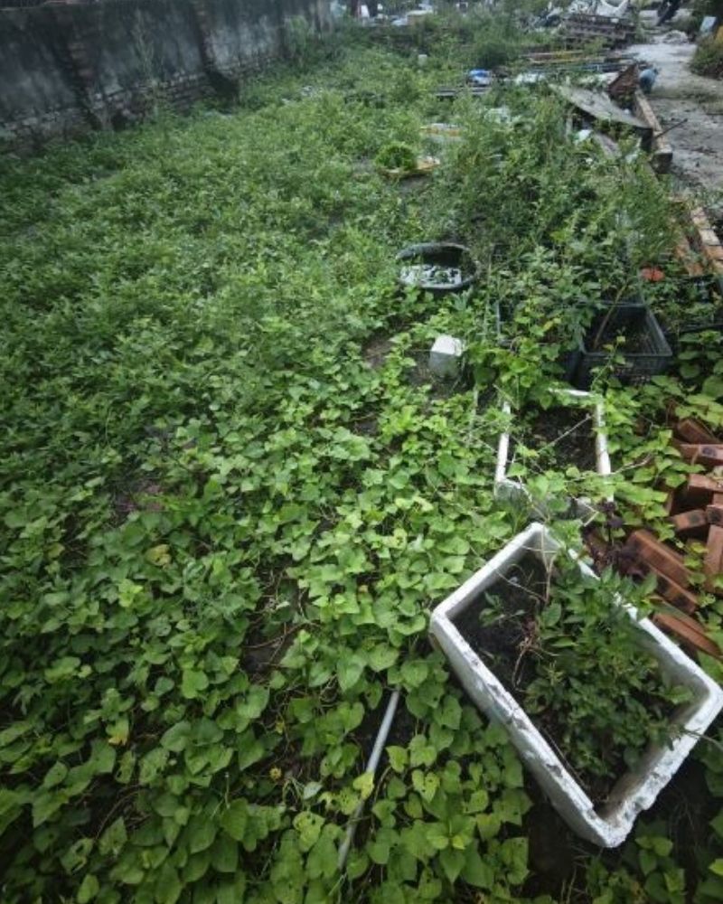 Bán đất Đông Mỹ Thanh Trì 85m² – Ô tô vào – 4,9 tỷ