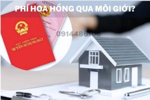 Môi Giới Bất Động Sản Thanh Trì – Liên Ninh Ngọc Hồi | Bán Nhà Hiệu Quả, Pháp Lý Minh Bạch